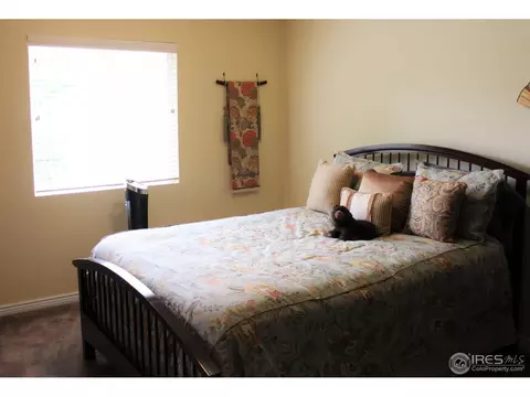 142 Crabapple Dr, Windsor, CO 80550 photo 14