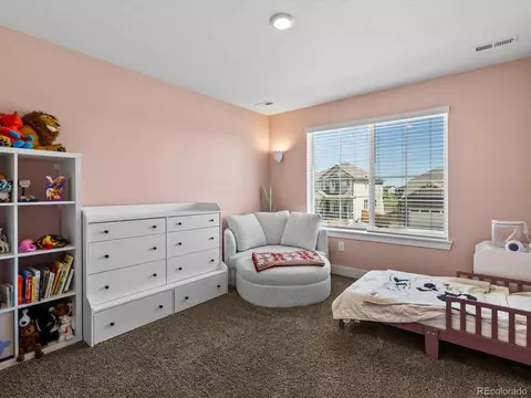 8346 E 132nd Dr, Thornton, CO 80602 photo 34