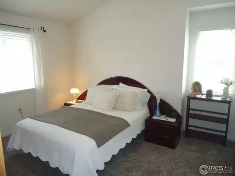 387 Buffalo Dr #E, Windsor, CO 80550 photo 10