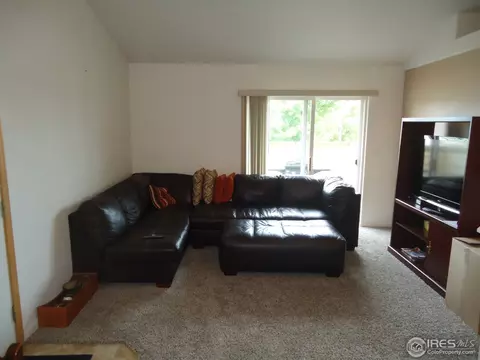 387 Buffalo Dr #E, Windsor, CO 80550 photo 9