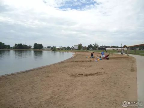 387 Buffalo Dr #E, Windsor, CO 80550 photo 22