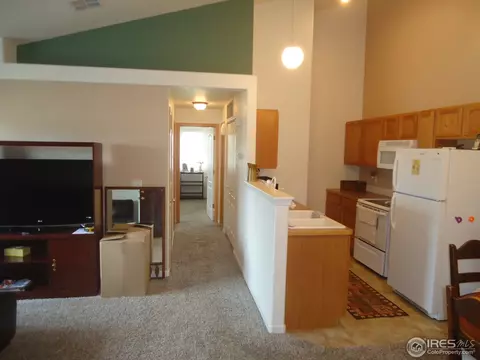 387 Buffalo Dr #E, Windsor, CO 80550 photo 4