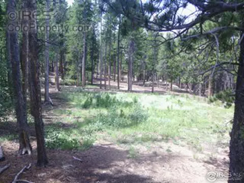 408 Pine Cone Dr, Ward, CO 80481 photo 2