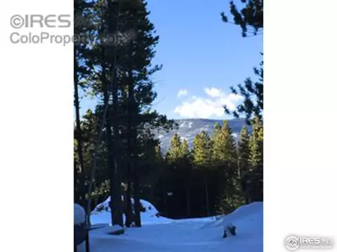 408 Pine Cone Dr, Ward, CO 80481 photo 12