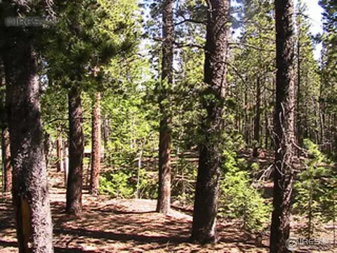 408 Pine Cone Dr, Ward, CO 80481 photo 4