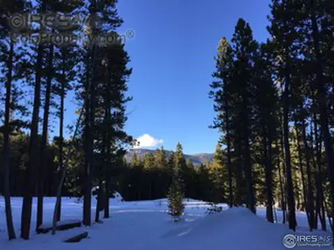 408 Pine Cone Dr, Ward, CO 80481 photo 8