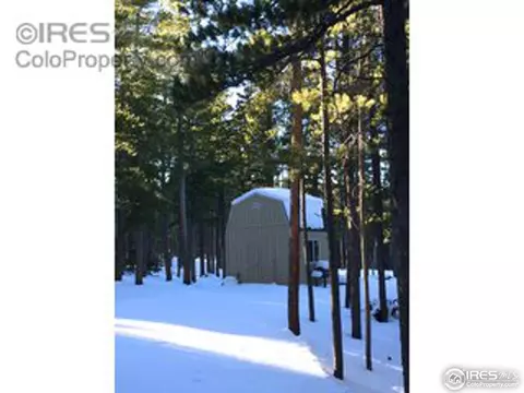 408 Pine Cone Dr, Ward, CO 80481 photo 11