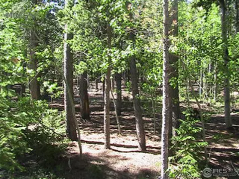 408 Pine Cone Dr, Ward, CO 80481 photo 9