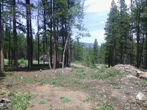 408 Pine Cone Dr, Ward, CO 80481 photo 5