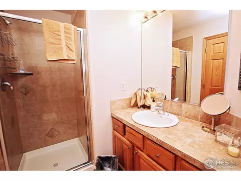 5376 Highland Meadows Ct, Windsor, CO 80528 photo 31