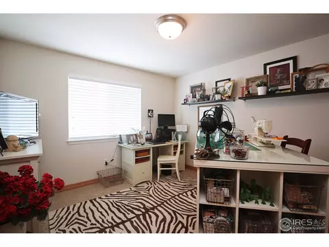 5376 Highland Meadows Ct, Windsor, CO 80528 photo 26