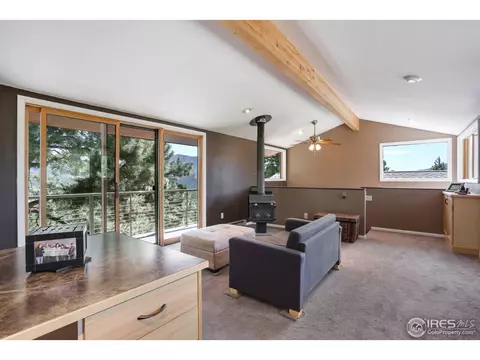 11 Pika Rd, Boulder, CO 80302 photo 19