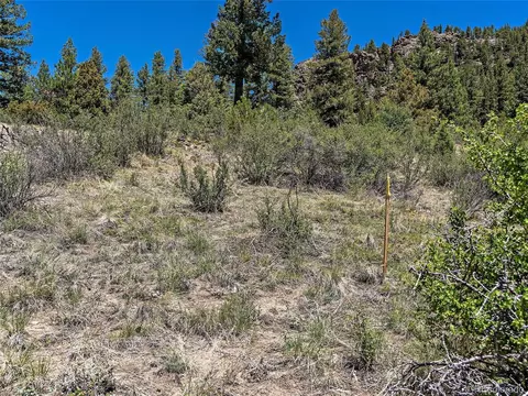 817 Pine Hollow Rd, Bailey, CO 80421 photo 10