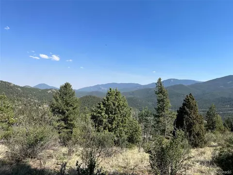 817 Pine Hollow Rd, Bailey, CO 80421 photo 2