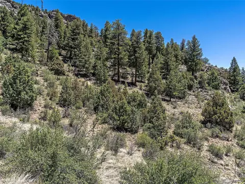 817 Pine Hollow Rd, Bailey, CO 80421 photo 9