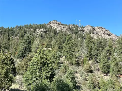 817 Pine Hollow Rd, Bailey, CO 80421 photo 30