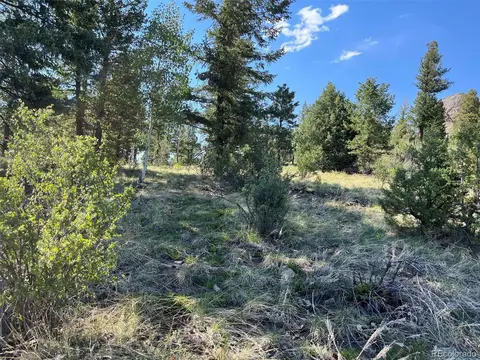 817 Pine Hollow Rd, Bailey, CO 80421 photo 3
