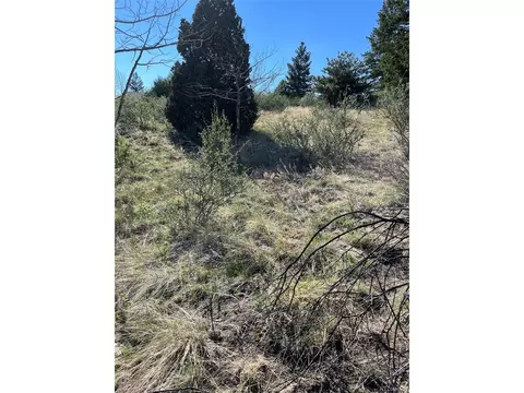 817 Pine Hollow Rd, Bailey, CO 80421 photo 32