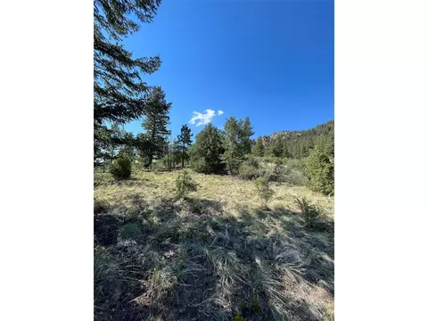 817 Pine Hollow Rd, Bailey, CO 80421 photo 31