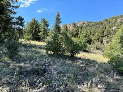 817 Pine Hollow Rd, Bailey, CO 80421 photo 4