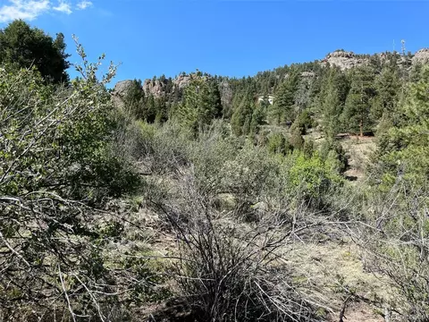 817 Pine Hollow Rd, Bailey, CO 80421 photo 26