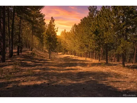 Wood Sorrel Rd, Larkspur, CO 80118