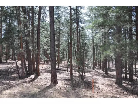 Wood Sorrel Rd, Larkspur, CO 80118