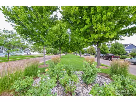 1441 Fairfield Ave, Windsor, CO 80550 photo 23