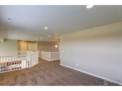 5714 Connor St, Timnath, CO 80547 photo 13