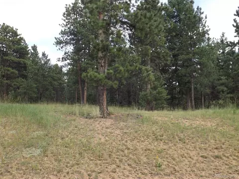 46 Firehouse Rd, Pine, CO 80470 photo 15