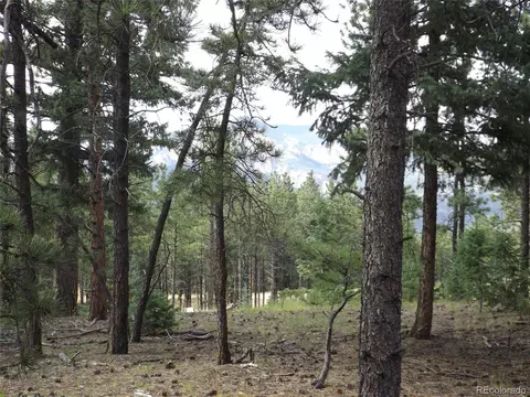 46 Firehouse Rd, Pine, CO 80470 photo 18