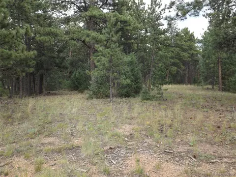 46 Firehouse Rd, Pine, CO 80470 photo 17