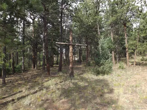 46 Firehouse Rd, Pine, CO 80470 photo 22