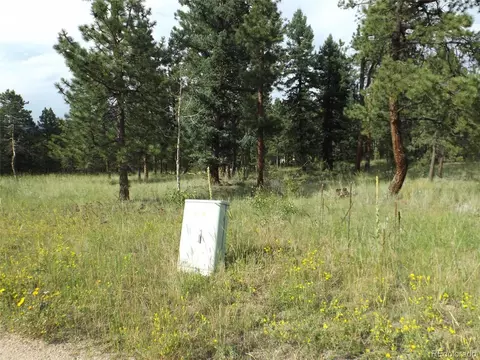 46 Firehouse Rd, Pine, CO 80470 photo 8