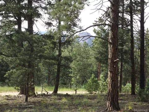 46 Firehouse Rd, Pine, CO 80470 photo 19
