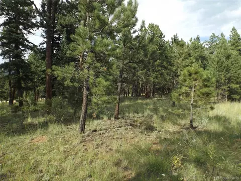 46 Firehouse Rd, Pine, CO 80470 photo 9
