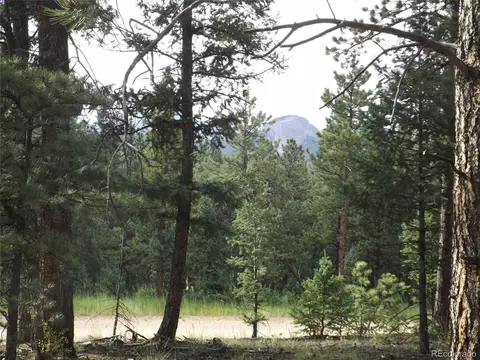 46 Firehouse Rd, Pine, CO 80470 photo 20