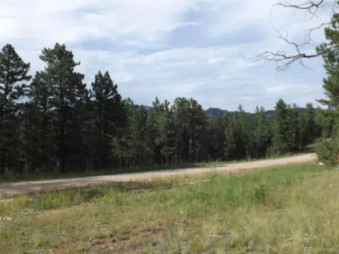 46 Firehouse Rd, Pine, CO 80470 photo 4