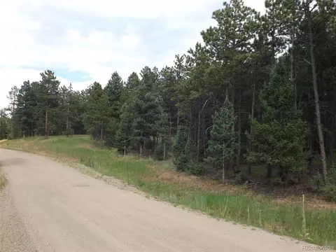 46 Firehouse Rd, Pine, CO 80470 photo 13