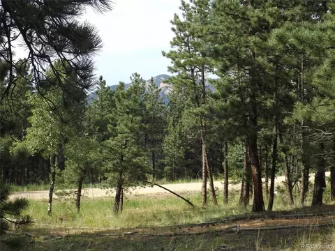 46 Firehouse Rd, Pine, CO 80470 photo 11