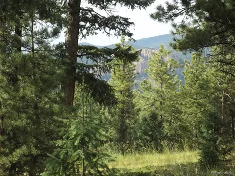 46 Firehouse Rd, Pine, CO 80470 photo 26