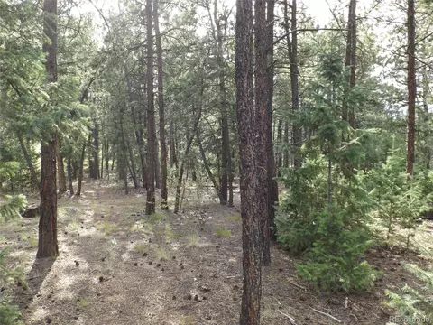 46 Firehouse Rd, Pine, CO 80470 photo 27