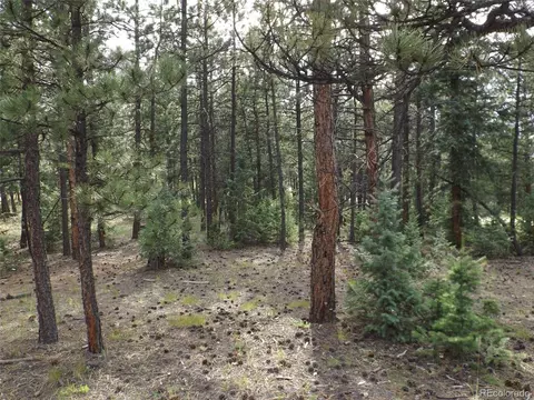 46 Firehouse Rd, Pine, CO 80470 photo 24