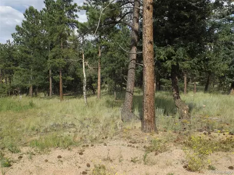46 Firehouse Rd, Pine, CO 80470 photo 3