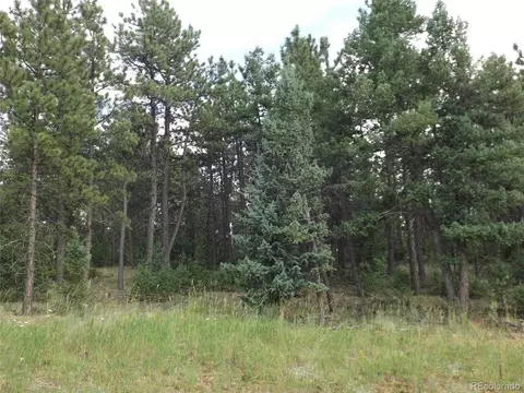 46 Firehouse Rd, Pine, CO 80470 photo 14