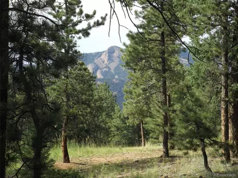 46 Firehouse Rd, Pine, CO 80470 photo 29