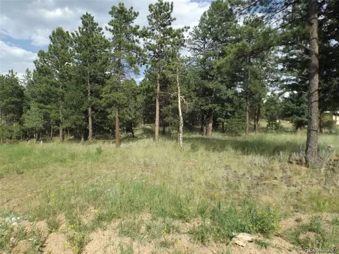 46 Firehouse Rd, Pine, CO 80470 photo 2