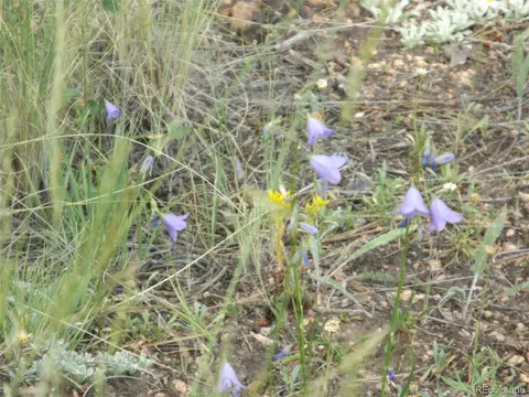 46 Firehouse Rd, Pine, CO 80470 photo 7