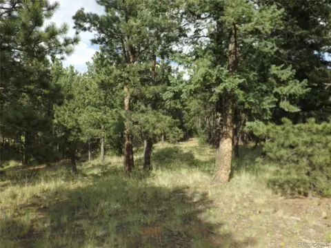 46 Firehouse Rd, Pine, CO 80470 photo 5