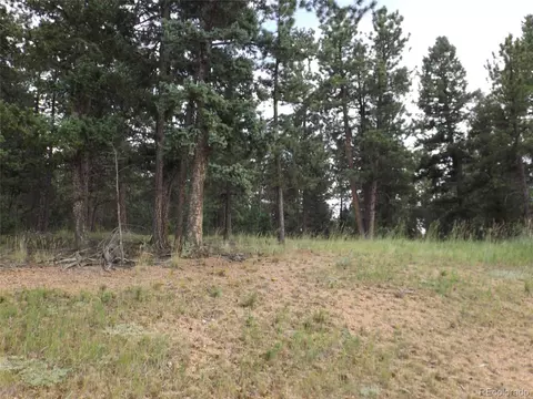 46 Firehouse Rd, Pine, CO 80470 photo 16